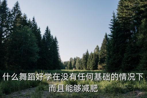 什么舞蹈好学在没有任何基础的情况下而且能够减肥