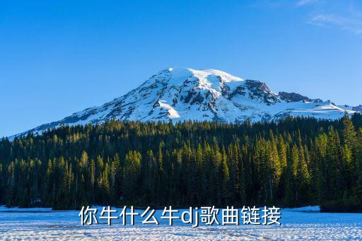 你牛什么牛dj歌曲链接