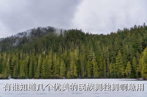 中国舞独舞，有没有难度适中的女子古典独舞