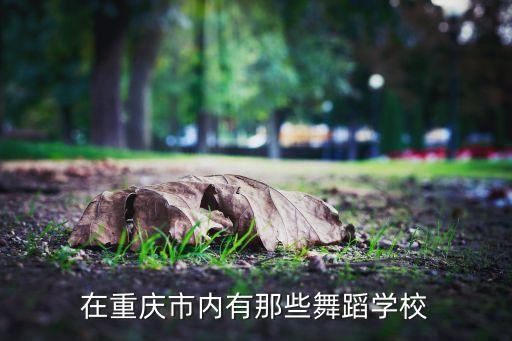 在重庆市内有那些舞蹈学校