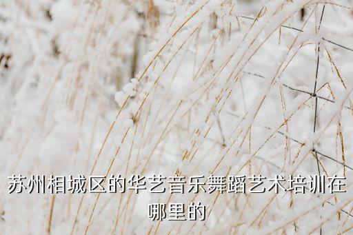 华艺舞蹈艺术培训中心怎么样，苏州相城区的华艺音乐舞蹈艺术培训在哪里的