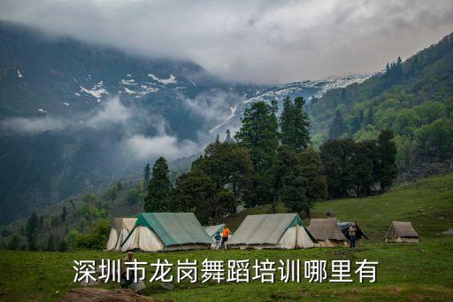 深圳市龙岗舞蹈培训哪里有
