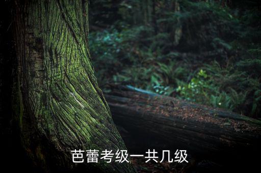 芭蕾考级一共几级