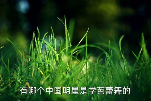 有哪个中国明星是学芭蕾舞的