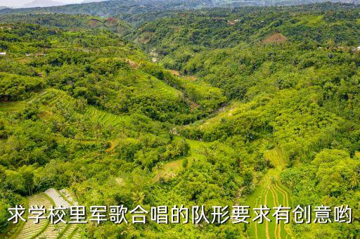 军歌比赛队形怎么摆，中国人民解放军军歌怎么个正步合拍