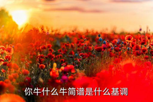 美久广场舞你牛什么牛，广场舞你牛甚么牛mp3