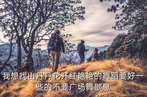 最新广场舞山丹丹开花红艳艳，山丹丹开花红艳艳广场舞曲 现代气息 节奏欢快的曲子怎么找不到  搜