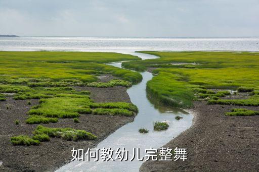 如何教小朋友跳舞，如何教幼儿完整舞