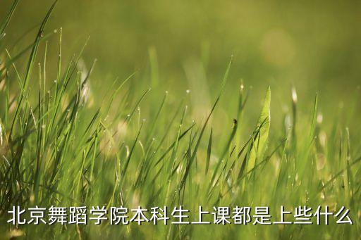 北京舞蹈学院本科生上课都是上些什么