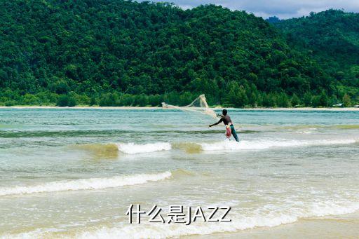 什么是JAZZ