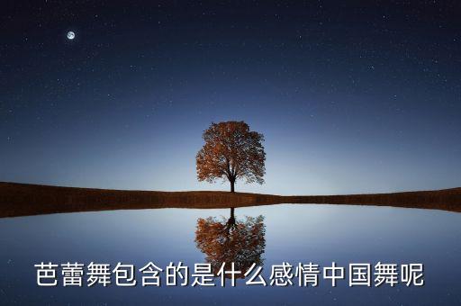 什么是舞蹈情感，什么是跳舞人的心
