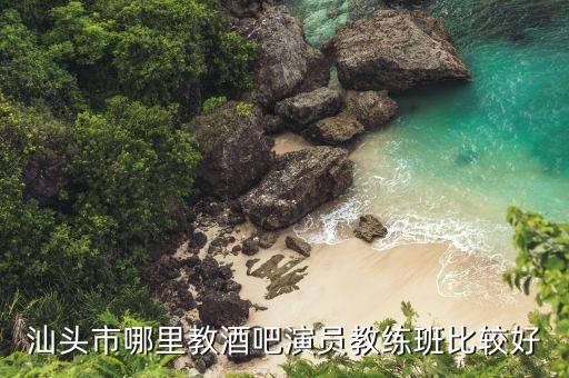 汕头市哪里教酒吧演员教练班比较好