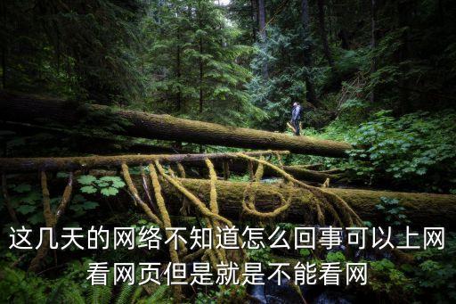 这几天的网络不知道怎么回事可以上网看网页但是就是不能看网