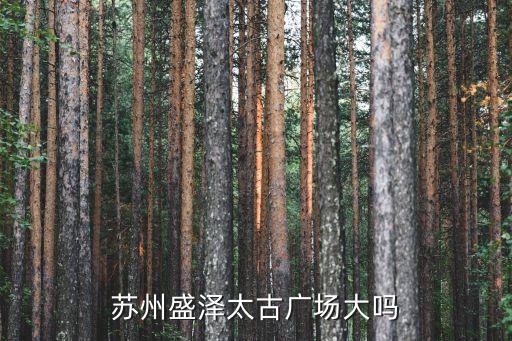 盛泽有哪些广场，吴江盛泽平望七都和八都有哪些有名的商业集中地