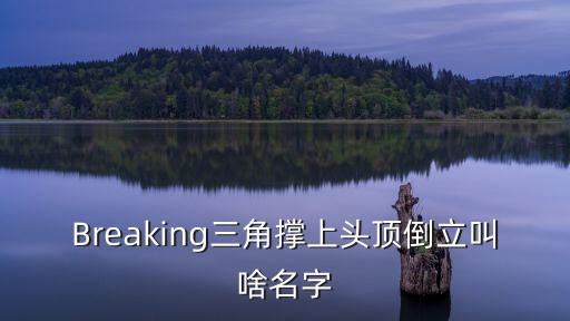 breaking倒立叫什么， 街舞当中像一些倒立按地的一些动作叫什么街舞中分成几大类