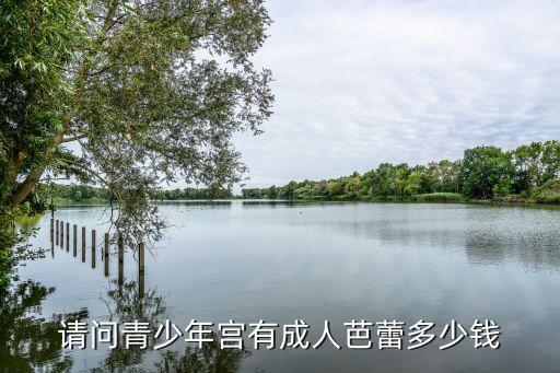 请问青少年宫有成人芭蕾多少钱