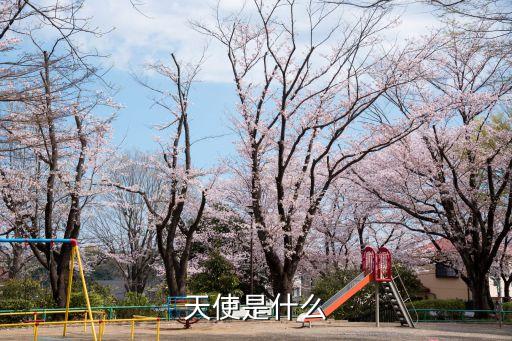 白鸽广场舞天使的什么，天使是什么