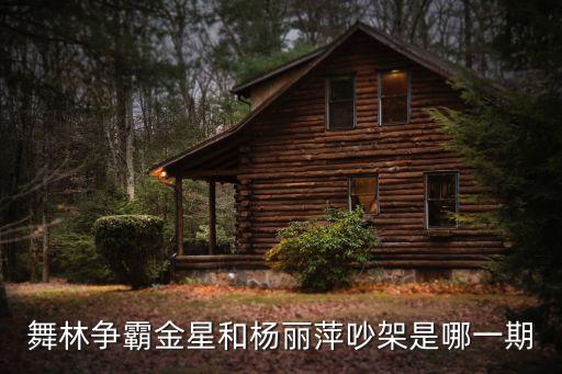 杨丽萍东东广场舞争什么争，求舞蹈家杨丽萍的