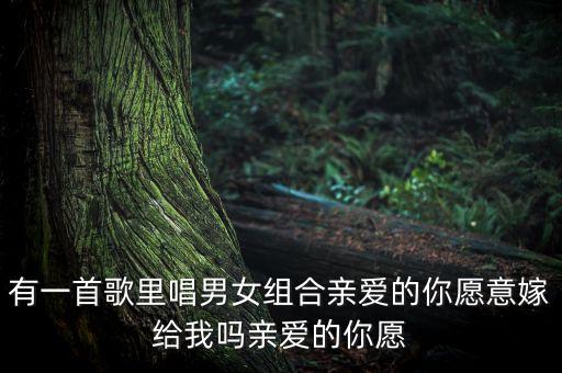 有一首歌里唱男女组合亲爱的你愿意嫁给我吗亲爱的你愿