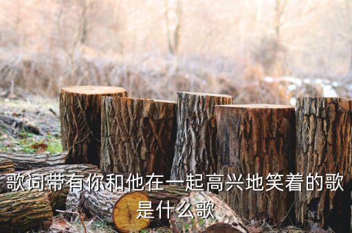 歌词带有你和他在一起高兴地笑着的歌是什么歌
