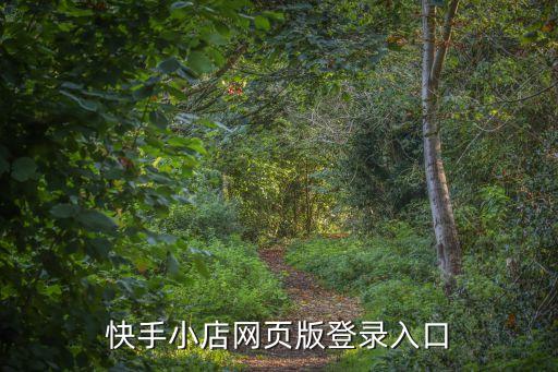 快手小店网页版登录入口