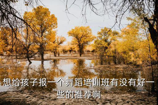 想给孩子报一个舞蹈培训班有没有好一些的推荐啊