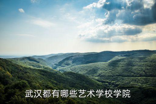 武汉舞蹈中专学校，武汉市有哪些艺术学校