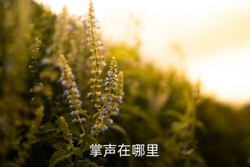 掌声在哪里
