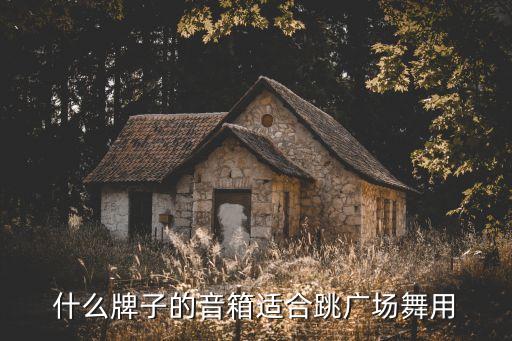 什么牌子的音箱适合跳广场舞用
