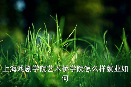 上海戏剧学院艺术桥学院怎么样就业如何