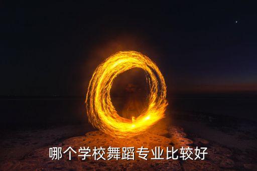 大学舞蹈专业，大学里的舞蹈专业有哪些