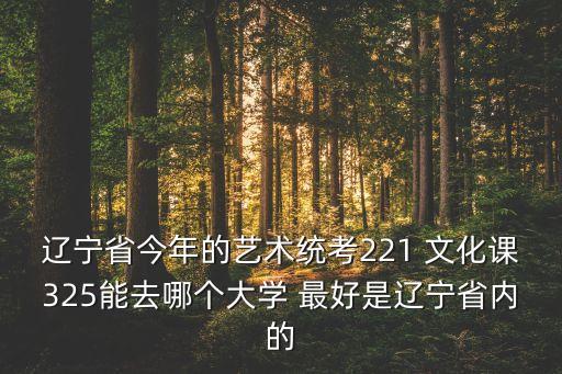 辽宁省今年的艺术统考221 文化课325能去哪个大学 最好是辽宁省内的