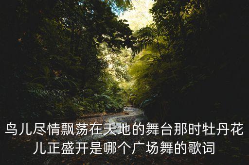 鸟儿尽情飘荡在天地的舞台那时牡丹花儿正盛开是哪个广场舞的歌词