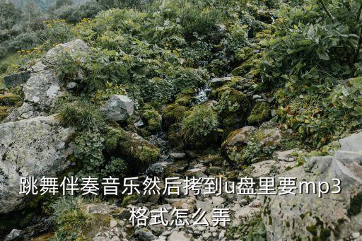 跳舞伴奏音乐然后拷到u盘里要mp3格式怎么弄