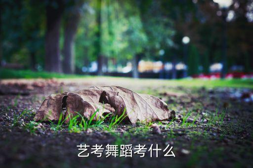 艺考舞蹈考什么