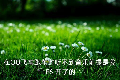 在QQ飞车跑车时听不到音乐前提是我 F6 开了的