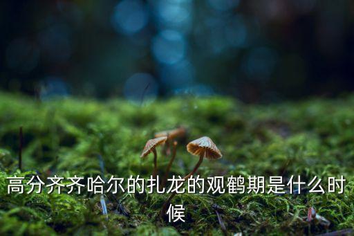 齐市哪里看鹤有感，高分齐齐哈尔的扎龙的观鹤期是什么时候