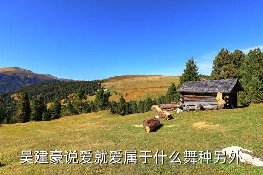 广场舞云裳爱是什么背面，云想衣裳花想容深爱得老婆我只爱你