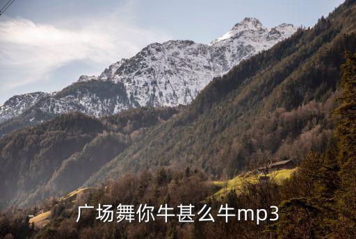 广场舞你牛甚么牛mp3