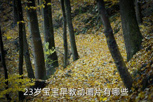 23岁宝宝早教动画片有哪些