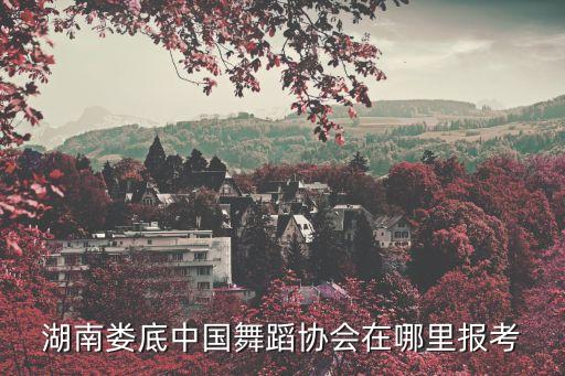 中国舞蹈家协会在哪里，怎么申请中国舞蹈家协会考级点