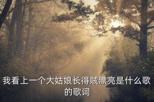 我看上一个大姑娘长得贼漂亮是什么歌的歌词