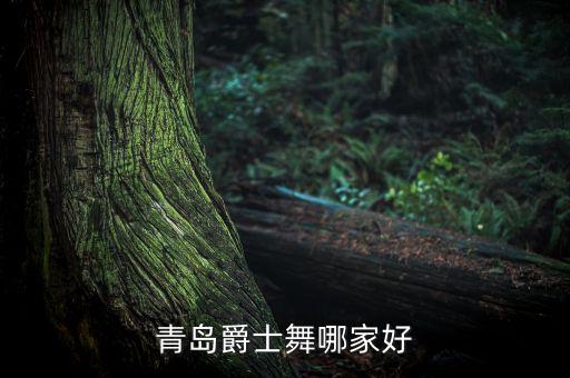 青岛爵士舞哪家好