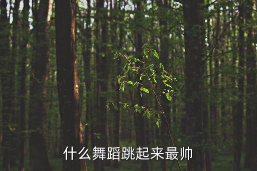 什么舞蹈跳起来最帅