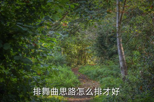 琵琶语舞蹈怎么排，排舞曲思路怎么排才好