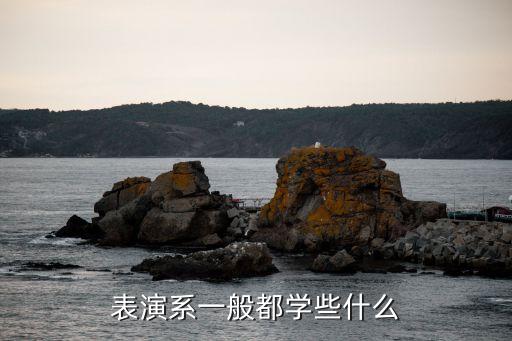 影视表演老师教什么，北影中戏的学表演都开设了什么课程主要学习什么东西