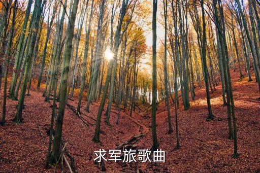 求军旅歌曲