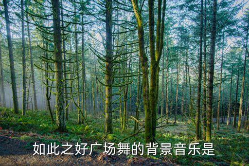 如此之好广场舞的背景音乐是
