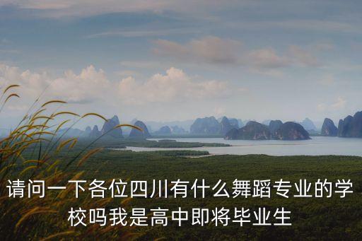 请问一下各位四川有什么舞蹈专业的学校吗我是高中即将毕业生