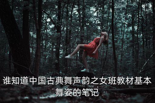 谁知道中国古典舞声韵之女班教材基本舞姿的笔记